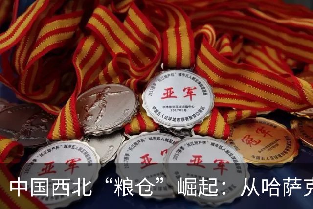 中国西北“粮仓”崛起：从哈萨克斯坦运粮火车驶入新疆